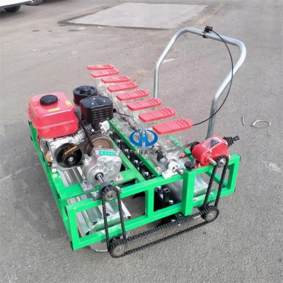6行蔬菜精播机 芹菜菠菜播种机 汽油款大葱香菜穴播机价格实惠图3