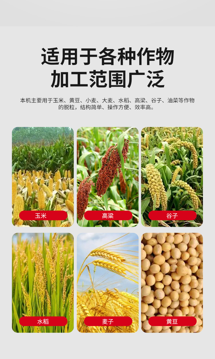 详情_05.jpg