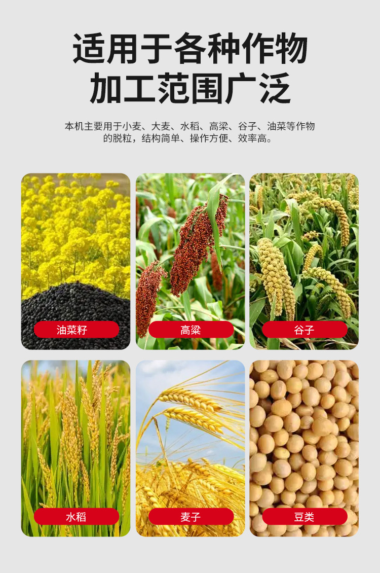 详情_08.jpg