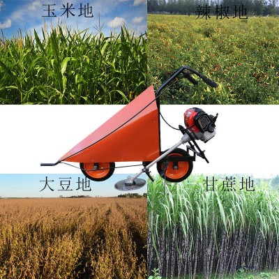 小型玉米收割机家用辣椒割杆神器小型大豆玉米收获机农用四冲程图5