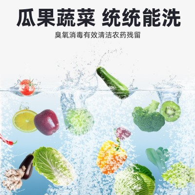 万能洗菜机 果蔬 肉类 海产品万能清洗机 自动出料臭氧清洗机图3