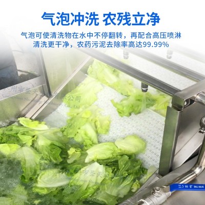 果蔬清洗机商用全自动果蔬气泡清洗机不锈钢超声波果蔬喷淋洗菜机图4