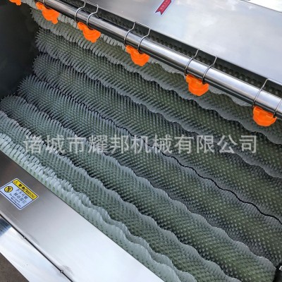 全自动毛刷土豆清洗机 毛辊红薯土豆清洗去皮机 工业大型 洗姜机图4