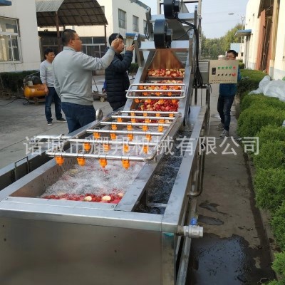 果蔬气泡清洗机 水果蔬菜清洗设备 全自动大型商用连续辣椒 清洗机图3
