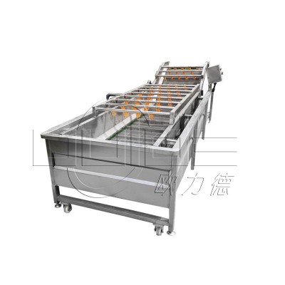 量大优惠大型不锈钢链板式水浴淋水清洗机蔬果带输送选果机清洗机图5