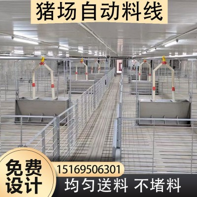 养猪场设计料线配件 养殖全套设备 料塔塞盘绞龙料线自动喂料设备图3