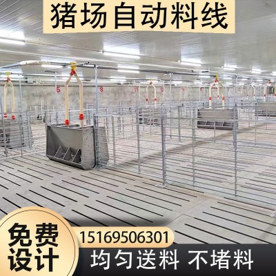 养猪场设计料线配件 养殖全套设备 料塔塞盘绞龙料线自动喂料设备图5