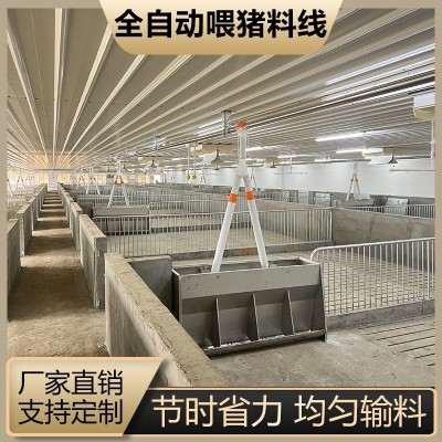 全自动喂料线养猪料塔料线绞龙塞盘镀锌料塔料线养殖场饲料储料塔