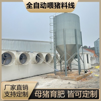 猪场全自动料线 养猪喂料设备 猪场养殖设备 塞盘绞龙料塔配件料