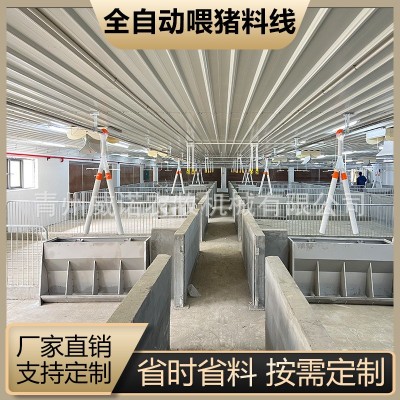 猪场全自动料线 养猪喂料设备 猪场养殖设备 塞盘绞龙料塔配件料图4