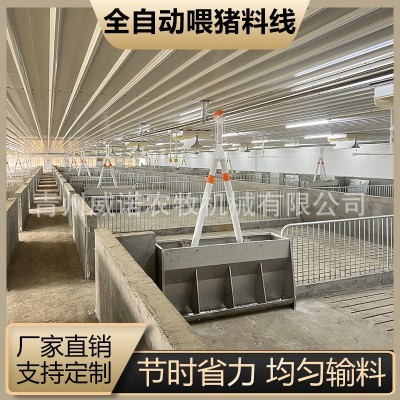 猪场全自动料线 养猪喂料设备 猪场养殖设备 塞盘绞龙料塔配件料图3