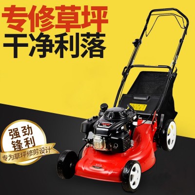 澜墨汽油草坪机四冲程20寸手推式自走式剪草机除草机割草机批发图2