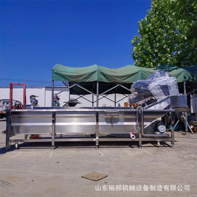 菠菜油菜红薯高压喷淋清洗设备 净菜加工设备 果蔬气泡清洗机图2