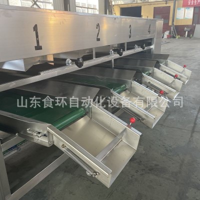 厂家土豆红薯分级机 全自动桃子清洗分级流水线 自动称重分选机图2