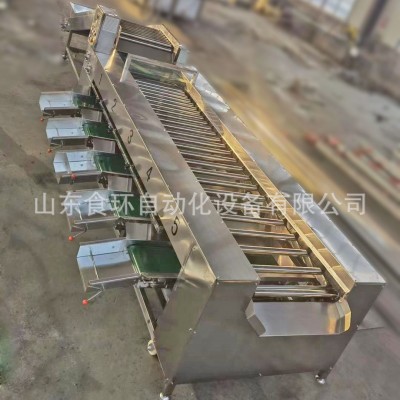 分级机设备 圣女果红枣分级机 果蔬分级分拣机 全自动核桃检重机图3
