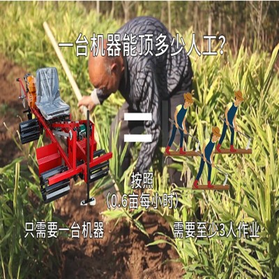 多功能大姜种植机五合一柴油开沟播种机现货出口座驾式履带旋耕机 1台图3