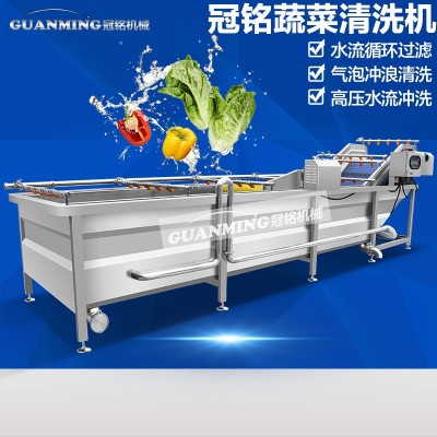 厂家供应甜菜清洗机气泡冲浪喷淋洗菜机叶类蔬菜加工清洗流水线图2