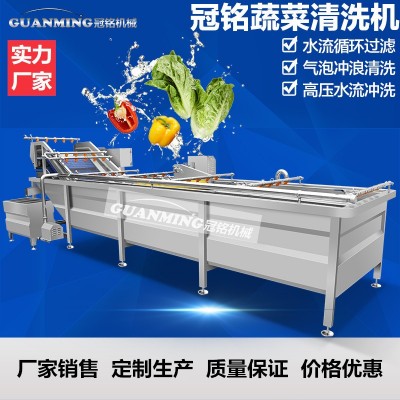 厂家供应甜菜清洗机气泡冲浪喷淋洗菜机叶类蔬菜加工清洗流水线