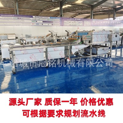 厂家供应大型土豆清洗机 高压喷淋气泡清洗流水线 红薯清洗吹干线图2