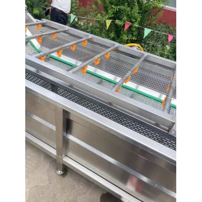 新鲜辣椒去把清洗机 青辣椒清洗机 荣昌去除泥沙灰尘多功能洗菜机图3