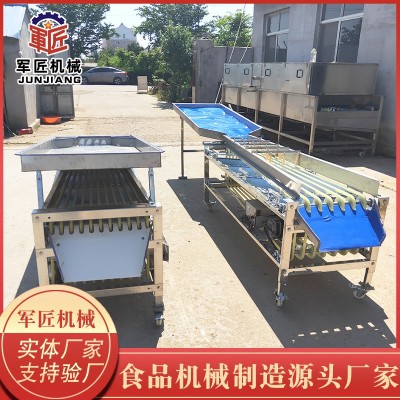 枇杷罗汉果选果机 杨梅分级机 蓝莓分选机 芭乐分选机 荔枝分选机图2
