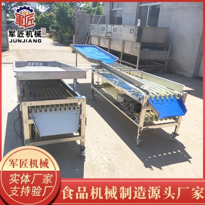 枇杷罗汉果选果机 杨梅分级机 蓝莓分选机 芭乐分选机 荔枝分选机图3