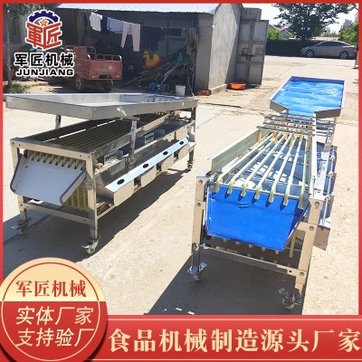枇杷罗汉果选果机 杨梅分级机 蓝莓分选机 芭乐分选机 荔枝分选机图4