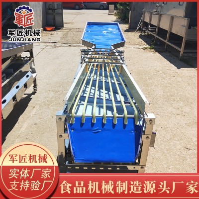 调速式脐橙分选机 多功能黄金百香果选果机 柑橘筛选机智能分果图3