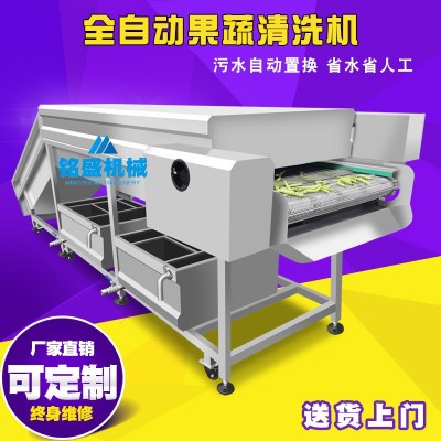 生产厂家柑橘脐橙清洗打蜡分级设备 清洗风干烘干分选包装线图2