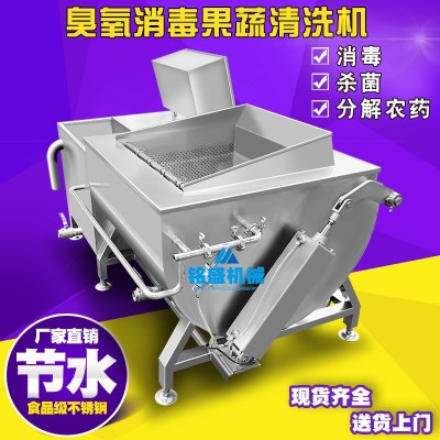 小型涡流式汽泡洗菜机 果蔬清洗机 喷淋二次冲洗翻斗自动出料设备图3
