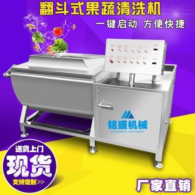 小型涡流式汽泡洗菜机 果蔬清洗机 喷淋二次冲洗翻斗自动出料设备图2