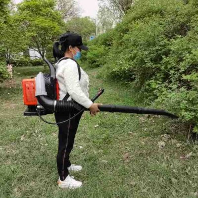 厂家生产批发大功率背负道路吹风机 风力灭火机森林灭火机吹雪机