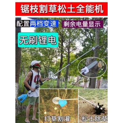 斯特克充电式无刷电动割草机小型家用农用除草机高枝锯绿篱松土图2