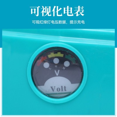 背负式电动喷雾器雾化机农用打药机果园园林锂电喷雾机卫生消毒图2