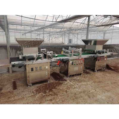 全自动穴盘育苗播种机 农用蔬菜苗育苗机 台式园林花卉种植机图3