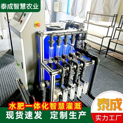 水肥一体化智能施肥机 农业大棚滴灌果园施肥 多通道水肥一体机图2