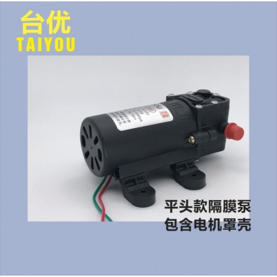 水泵喷雾器水泵喷雾泵高压水泵台优水泵平头泵 内回流 12V，4L图2