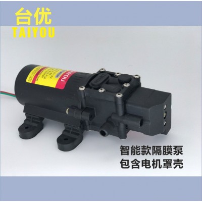 喷雾器水泵喷雾泵 12V直流 4.5L智能高压隔膜泵高压洗车泵图2