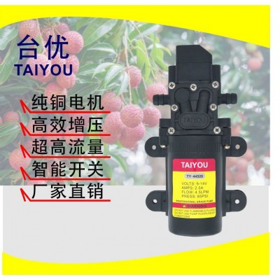 喷雾器水泵喷雾泵 12V直流 4.5L智能高压隔膜泵高压洗车泵图3
