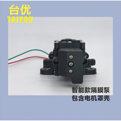 喷雾器水泵喷雾泵 12V直流 4.5L智能高压隔膜泵高压洗车泵图5