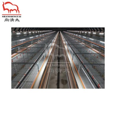 肉鸡全自动笼养系统 3~4层饲喂鸡笼 养鸡笼子 自动喂料鸡笼图4