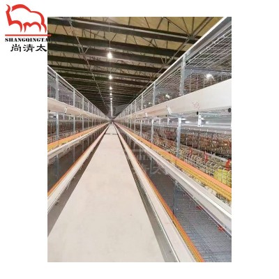 肉鸡全自动笼养系统 3~4层饲喂鸡笼 养鸡笼子 自动喂料鸡笼图3
