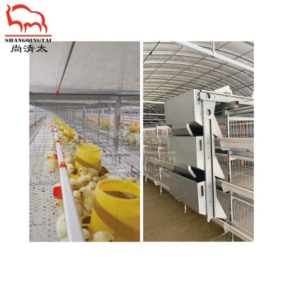 肉鸡全自动笼养系统 3~4层饲喂鸡笼 养鸡笼子 自动喂料鸡笼图2