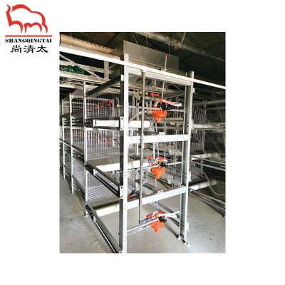 肉鸡全自动笼养系统 3~4层饲喂鸡笼 养鸡笼子 自动喂料鸡笼图5