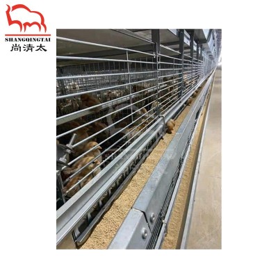 H型蛋鸡全自动笼养系统 蛋鸡饲养笼 养鸡笼子 畜牧养殖设备图3