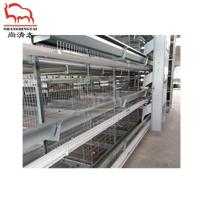 H型蛋鸡全自动笼养系统 蛋鸡饲养笼 养鸡笼子 畜牧养殖设备图2