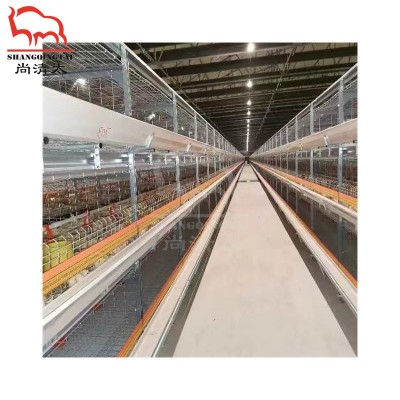 雏鸡笼 小鸡饲养笼子 小鸡育雏笼 自动饲喂系统 畜牧养殖设备图5
