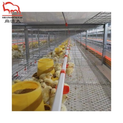 雏鸡笼 小鸡饲养笼子 小鸡育雏笼 自动饲喂系统 畜牧养殖设备图4