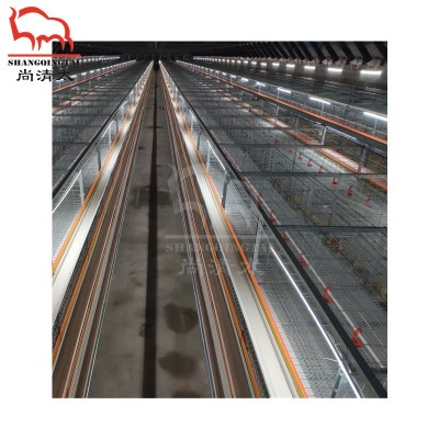 雏鸡笼 小鸡饲养笼子 小鸡育雏笼 自动饲喂系统 畜牧养殖设备图3