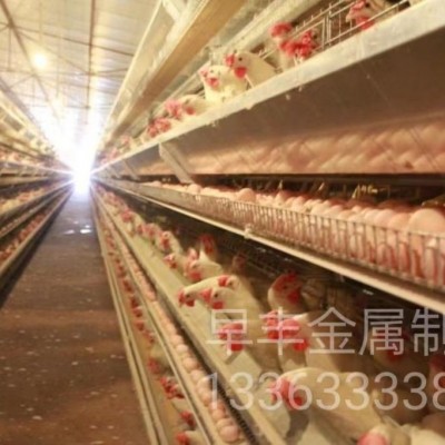 厂家供应层叠蛋鸡养殖设备阶梯式蛋鸡养殖设备蛋鸡规模化养殖